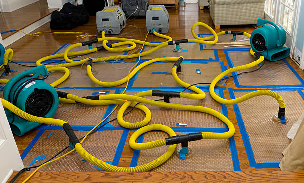 Professional Structural Drying And Dehumidification technician working in Northridge, CA